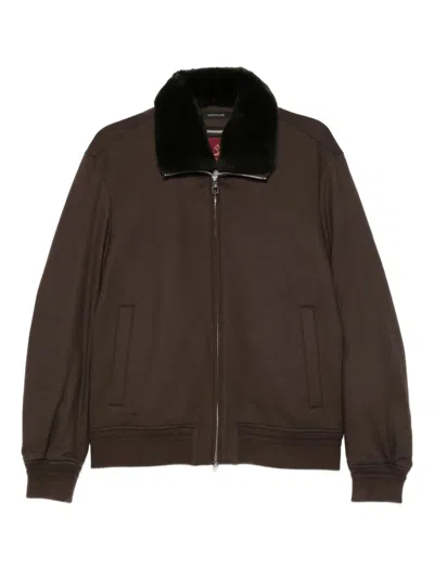 Montecore Contrasting-collar Zip-up Jacket In Brown