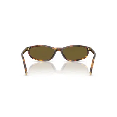 Miu Miu 0mu A06s 14l09z Havana Miele Sunglasses In Brown