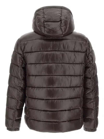 Save The Duck Shiny Brown Quilted Puffer Jacket With Fixed Hood In Brown