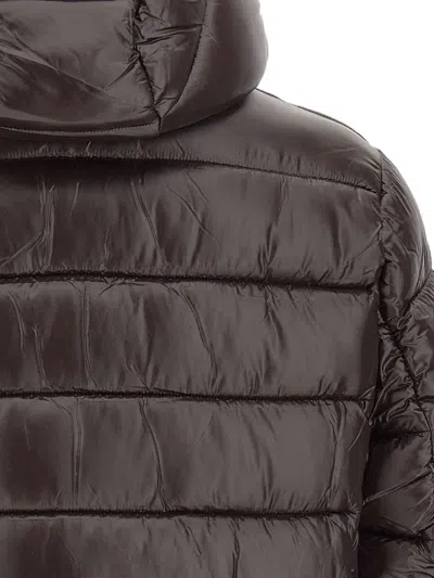 Save The Duck Shiny Brown Quilted Puffer Jacket With Fixed Hood In Brown