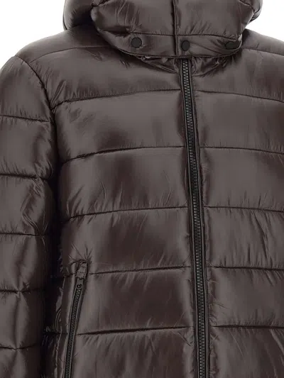 Save The Duck Shiny Brown Quilted Puffer Jacket With Fixed Hood In Brown