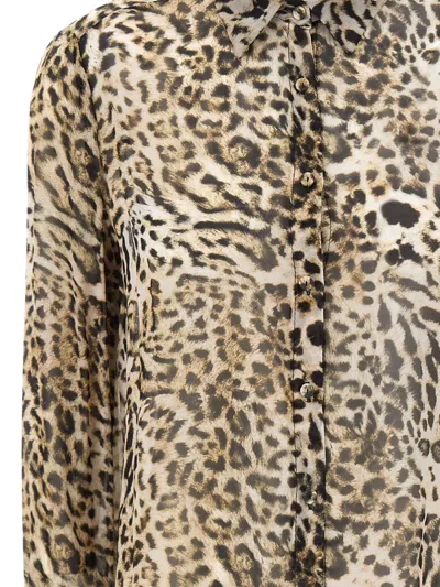 Kaos Animal-print Button-front Shirt In Multi