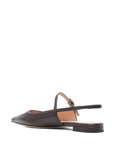 Gianvito Rossi Buckle-strap Pointed-toe Flats In Brown