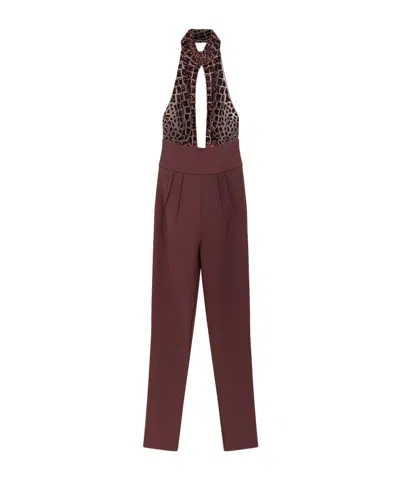 Elisabetta Franchi Halter-neck Sequin-embellished Jumpsuit In Burgundy