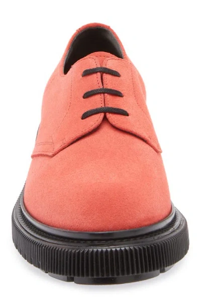 Adieu Plain Toe Derby In Pink