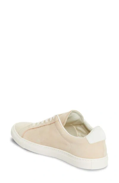 Common Projects Suede Original Achilles Sneakers In Pink