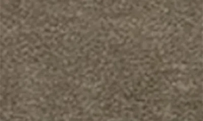 Px Suede Belt In Brown