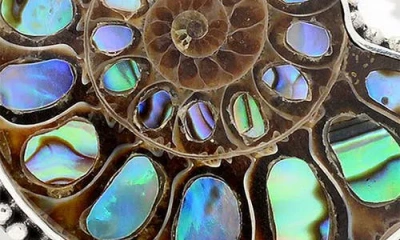 Samuel B. Tulang Naga Fossil Bracelet In Multi