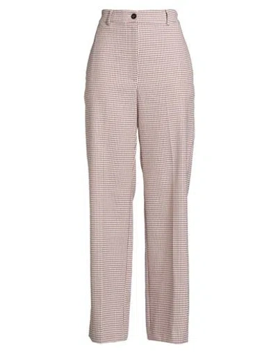 Jucca Woman Pants Mauve Size 6 Cotton, Virgin Wool, Polyamide, Elastane In Pink