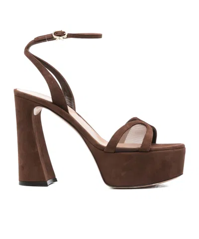 Gianvito Rossi Suede Mesh Platform Sandals In Brown