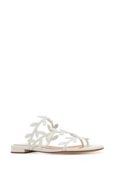 Gianvito Rossi Women White Nappa Leather Flavia Slippers In White