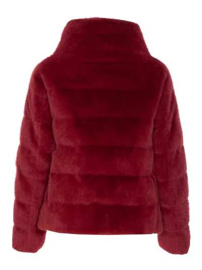 Herno Plush Bordeaux Synthetic Fur Jacket With High Collar In White