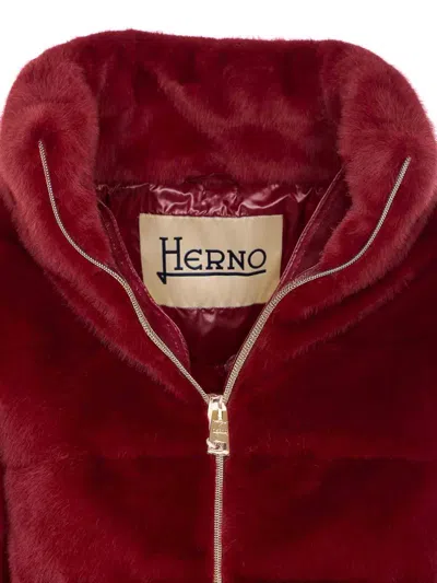 Herno Plush Bordeaux Synthetic Fur Jacket With High Collar In White