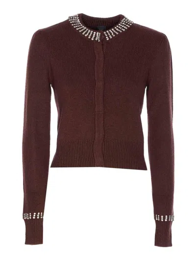 Pinko Spezzino Cardigan In Brown
