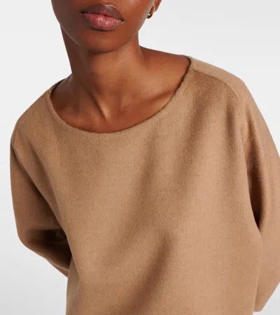 Max Mara Studio Basic Virgin Wool Sweater In Brown