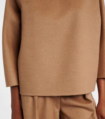 Max Mara Studio Basic Virgin Wool Sweater In Brown