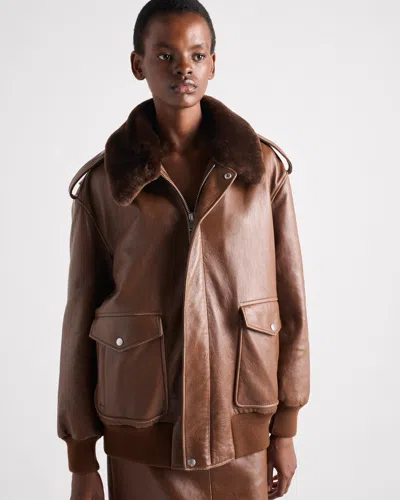 Prada Shearling-collar Leather Jacket In Brown