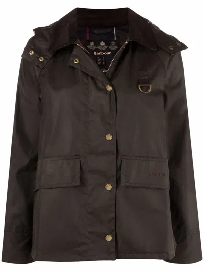 Barbour Coats Green In Brown