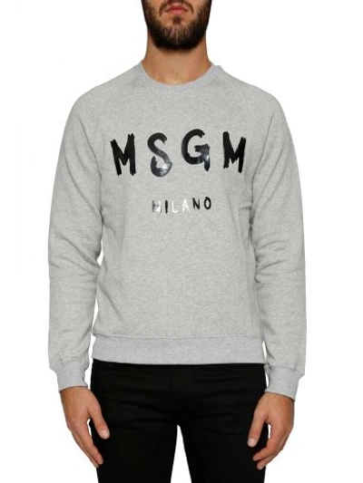 Shop Msgm Logo Sweatshirt In Grigio