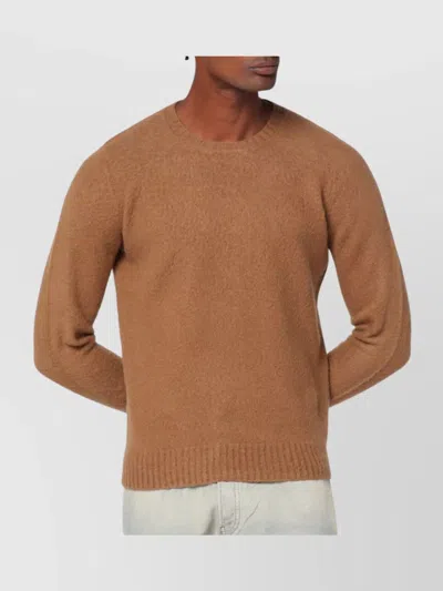 Drumohr Man Sweater Camel Size 48 Lambswool In Brown