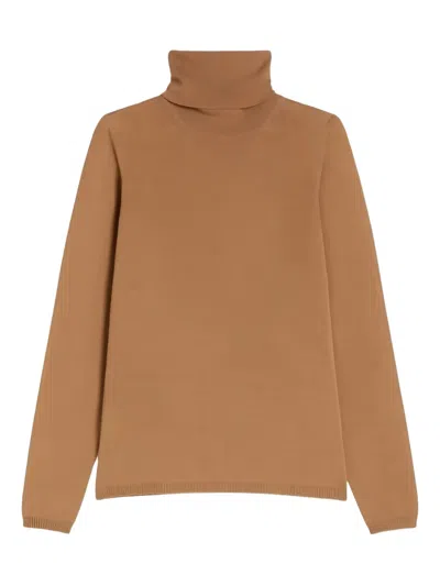 Max Mara Saluto Virgin Wool Turtleneck Sweater In Brown