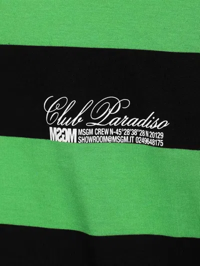 Msgm Striped-pattern Cotton T-shirt In Multi