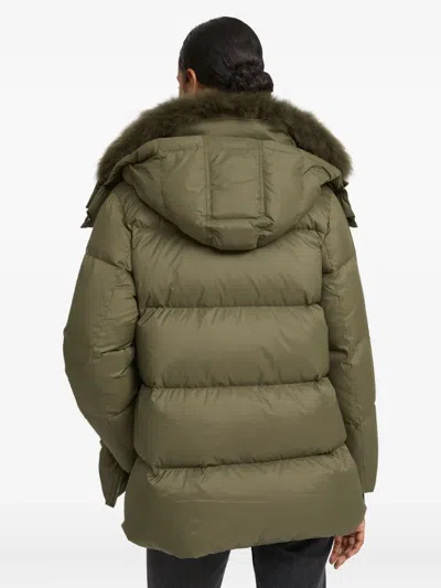 Yves Salomon Lambswool-collar Down Jacket In Green