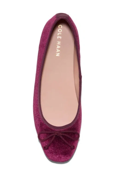 Cole Haan Yara Ballet Flat