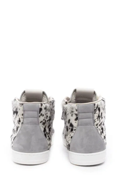 P448 Skate High Top Sneaker In Multi