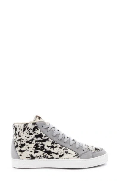 P448 Skate High Top Sneaker In Multi