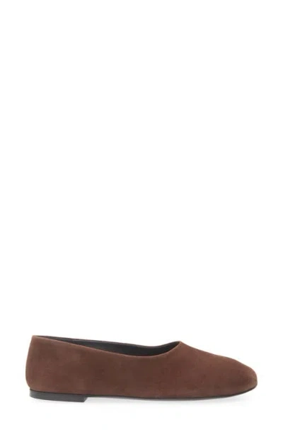 Proenza Schouler Round-toed Ballet Shoes In Brown