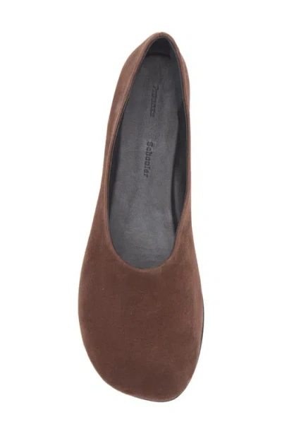 Proenza Schouler Round-toed Ballet Shoes In Brown