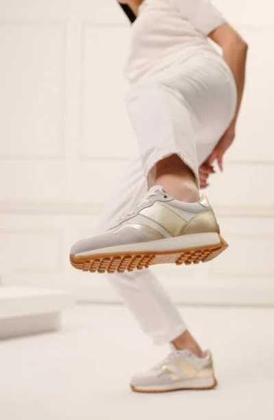 Naot Sunset Sneaker In Multi