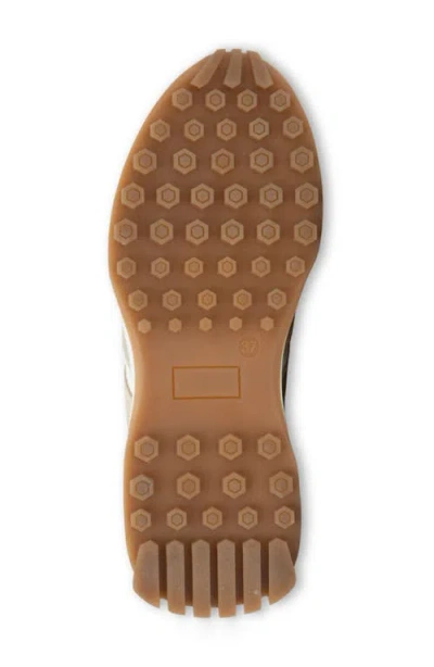 Naot Sunset Sneaker In Multi