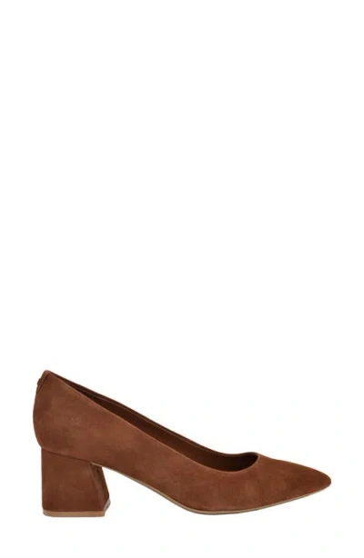 Calvin Klein Women's Lenott Pointy Toe Pumps In Brown