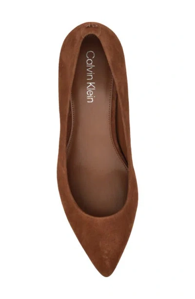 Calvin Klein Women's Lenott Pointy Toe Pumps In Brown