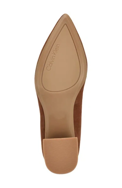 Calvin Klein Women's Lenott Pointy Toe Pumps In Brown