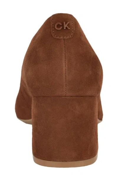 Calvin Klein Women's Lenott Pointy Toe Pumps In Brown