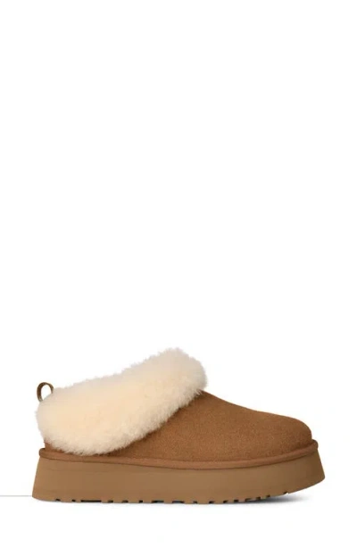 Ugg Tazzelle Logo Patch Slippers In Multi