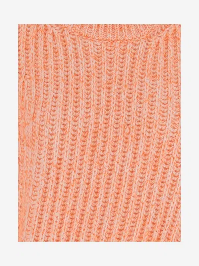 Sa Su Phi Sleeveless Ribbed Wool Blend Jumper In Brown