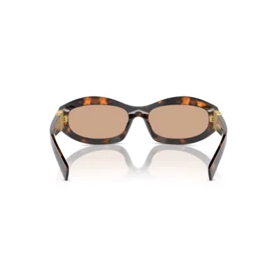 Miu Miu Cat-eye Sunglasses With Glossy Finish And Distinctive Detailing In Brown
