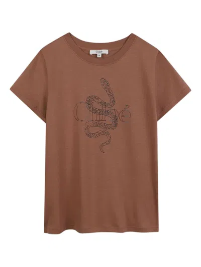 Chloé Chloè Kids T Shirts And Polos In Neutral