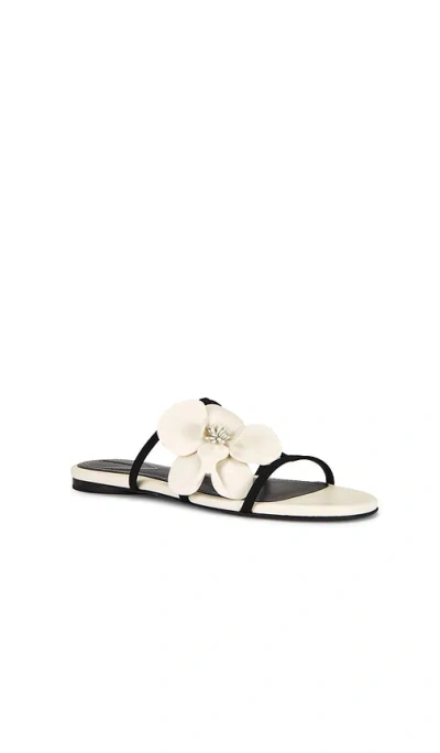 Zimmermann Orchid Slide In Macadamia In White