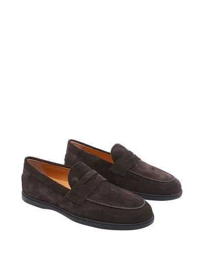 Tod's Loafers With Gommini On Back And Penny Strap In Brown