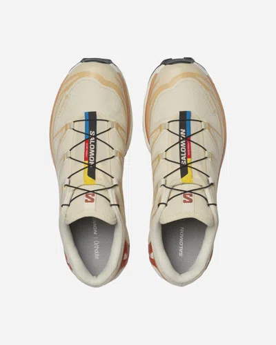 Salomon Xt-6 Gtx Panelled Mesh Sneakers In Neutral