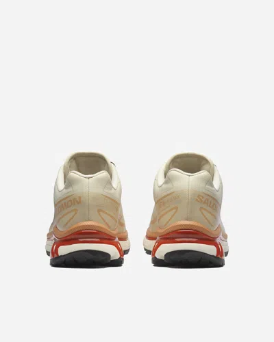Salomon Xt-6 Gtx Panelled Mesh Sneakers In Neutral