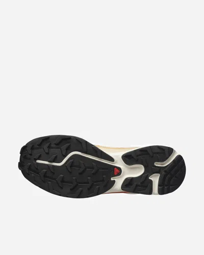 Salomon Xt-6 Gtx Panelled Mesh Sneakers In Neutral