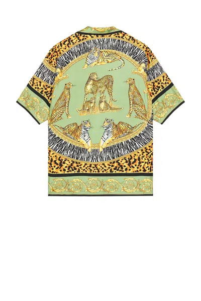 Versace Wild Cats Camp-collar Printed Silk-twill Shirt In Green