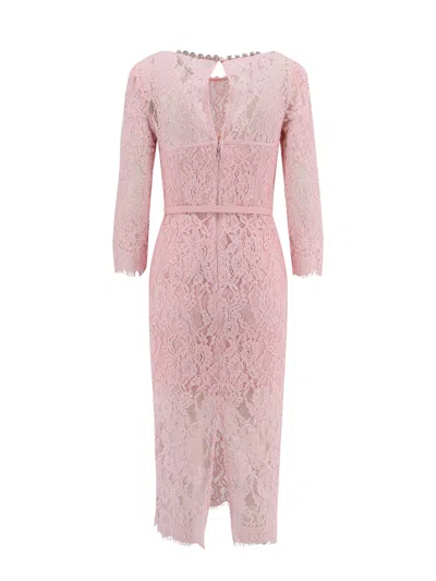 Self-portrait Lace Embellished Midi Dress In Pink