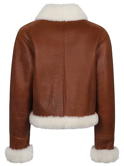 Loewe Shearling Leather Jacket In Brown